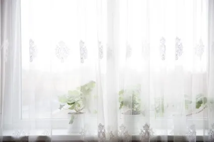 Налаштування камери і camera raw