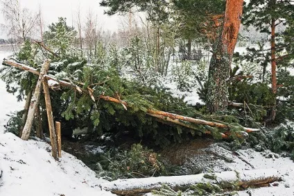 Нас не наздоженеш! видання
