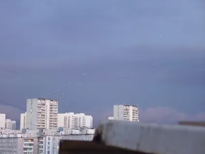Небесні риби що це