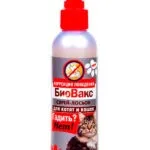 Неприємний запах з підлоги прості способи позбавлення від ароматів