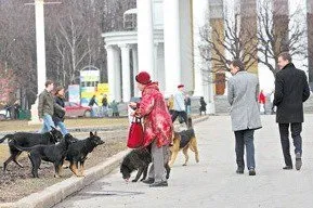 Чи не Прикормлюємо бездомних тварин, статті (бездомних) Чи не Прикормлюємо бездомних тварин, статті