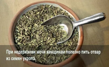 Нетримання сечі у жінок при кашлі та чханні причини і лікування (нетримання) Нетримання сечі у жінок при кашлі та чханні причини і лікування