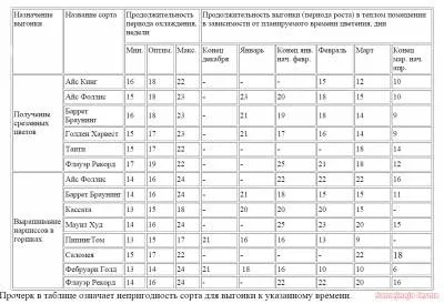 Вигонка нарцисів - нарциси - квітникарство - бібліотека - сімейна ферма (нарциси) Вигонка нарцисів - нарциси - квітникарство - бібліотека - сімейна ферма
