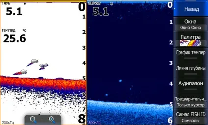 Видова ідентифікація риб за допомогою рибопошукових технологій lowrance - купити вУкаіни ехолоти (зору ідентифікації виду) Видова ідентифікація риб за допомогою рибопошукових технологій lowrance - купити вУкаіни ехолоти