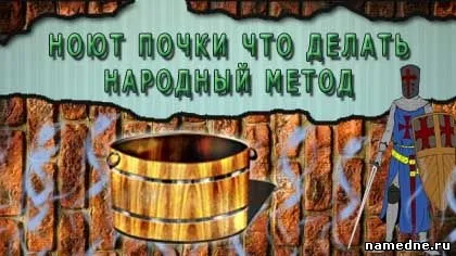 Ниють нирки що робити народний метод - сечостатева система - лікування хвороб - народні рецепти -