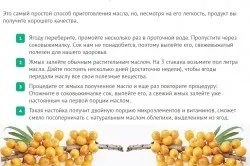 Масло обліпихи від хропіння особливості застосування (обліпихи) Масло обліпихи від хропіння особливості застосування