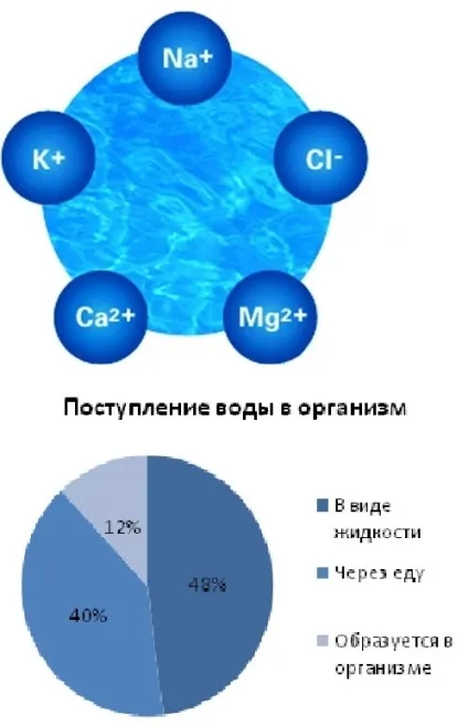 Зневоднення організму симптоми, особливості у дітей, причини, наслідки та що робити при (зневоднення організму дегідратація у дитини лікування причини чедлвека як лікувати ознаки як боротися чим небезпечне як відновити чим загрожує у дітей наслідки що робити сильне що пити до чого призводить хронічне ступеня як виявляється препарати) Зневоднення організму симптоми, особливості у дітей, причини, наслідки та що робити при