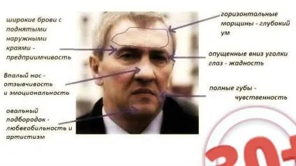 Про що говорять зморшки на лобі физиогномика чоловіків і жінок (физиогномика) Про що говорять зморшки на лобі физиогномика чоловіків і жінок