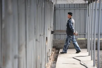Один день з життя до-9 службові собаки (службові) Один день з життя до-9 службові собаки