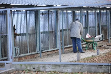 Один день з життя до-9 службові собаки (репортаж) Один день з життя до-9 службові собаки