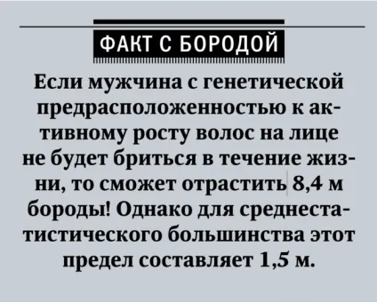 Ода брадості! Як вибирати, відрощувати і доглядати за бородою (бородою) Ода брадості! Як вибирати, відрощувати і доглядати за бородою