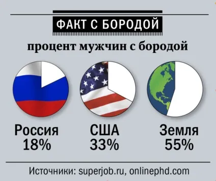 Ода брадості! Як вибирати, відрощувати і доглядати за бородою (бородою) Ода брадості! Як вибирати, відрощувати і доглядати за бородою