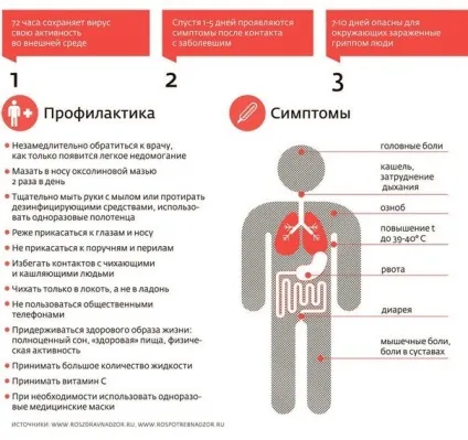 Оксолінова мазь дійсно допомагає не заразитися грипом, ГРВІ (оксолінова мазь) Оксолінова мазь дійсно допомагає не заразитися грипом, ГРВІ