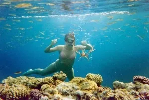 Небезпечні риби червоного моря (небезпечні) Небезпечні риби червоного моря