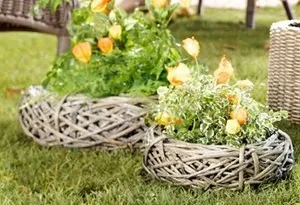 Оригінальний дизайн саду своїми руками фото (саду) Оригінальний дизайн саду своїми руками фото