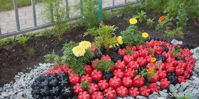 Оригінальні вироби з столових приладів (вироби) Оригінальні вироби з столових приладів