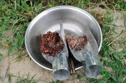 опіумний рай
