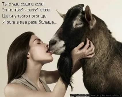 Він кіт (кролик) - вона коза (вівця)
