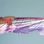 Особливості форми «cтілет»