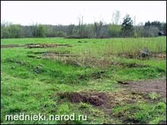 Освоєння запущеного ділянки (ділянки) Освоєння запущеного ділянки