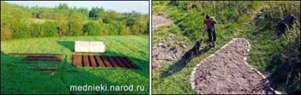 Освоєння запущеного ділянки (квітник уздовж доріжки) Освоєння запущеного ділянки