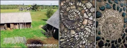 Освоєння запущеного ділянки (саду сайті Gardenia) Освоєння запущеного ділянки