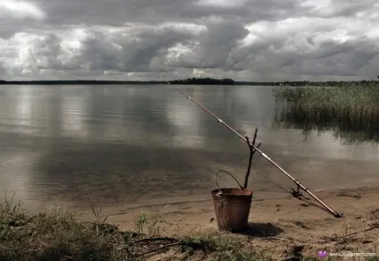 Особливості риболовлі на Селігері (поширена риба Селігера) Особливості риболовлі на Селігері