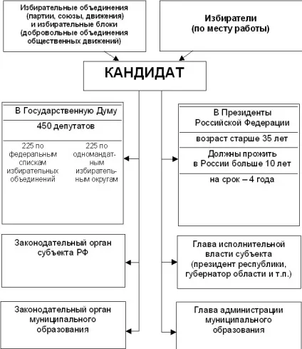 Основне політичне право (Основне політичне право) Основне політичне право