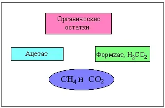 Озон і озоновий шар в атмосфері - екологія (озоновий) Озон і озоновий шар в атмосфері - екологія