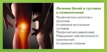 Пантові (маралового) ванни - дух алтая - - унікальний спосіб позбавлення від хвороб і оздоровлення (марал) Пантові (маралового) ванни - дух алтая - - унікальний спосіб позбавлення від хвороб і оздоровлення
