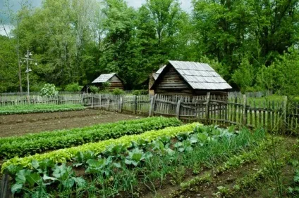 Переїзд в село з міста на ПМП (село) Переїзд в село з міста на ПМП