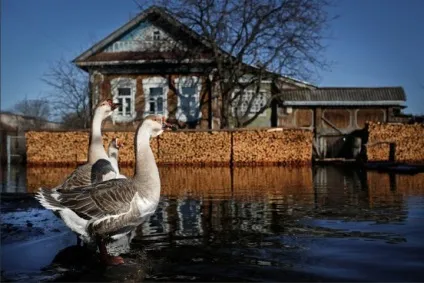 Переїзд в село з міста на ПМП (міста) Переїзд в село з міста на ПМП