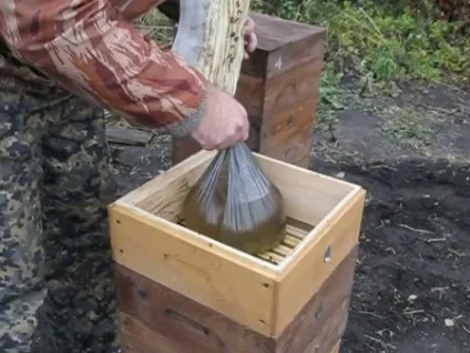 Бджоли восени зліт, обробка, лікування, докладні інструкції (зліт) Бджоли восени зліт, обробка, лікування, докладні інструкції