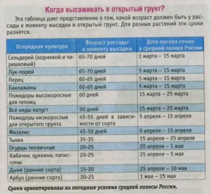 пікіровка розсади