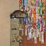 Розплідник норвезьких лісових котів - skogkat glamurrru (кішки) Розплідник норвезьких лісових котів - skogkat glamurrru