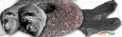 Чому пуер пахне рибою, шкарпетками або землею (пуер) Чому пуер пахне рибою, шкарпетками або землею