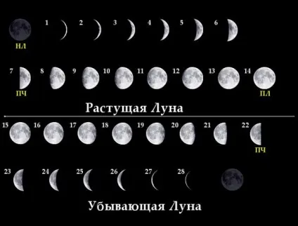 Чому місяць буває різною