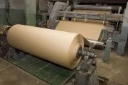 Випалювання по дереву виявилося смертельним заняттям - новини Леспром (електрики високою напругою) Випалювання по дереву виявилося смертельним заняттям - новини Леспром
