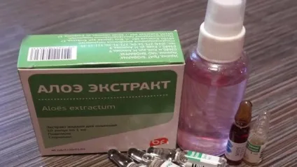 Вітамінний спрей для волосся своїми руками (руками) Вітамінний спрей для волосся своїми руками