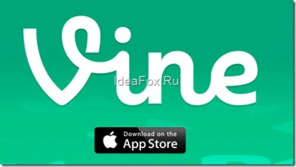 Vine (вайн) що це таке чому такий феноменальний успіх всього за 14 днів (таке) Vine (вайн) що це таке чому такий феноменальний успіх всього за 14 днів