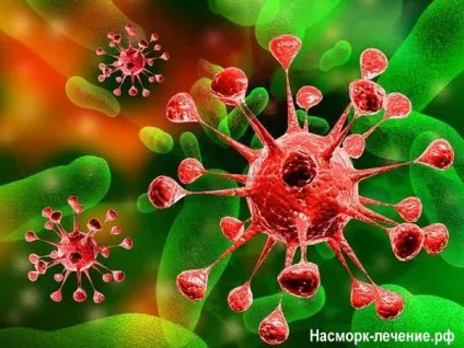 Вірусна нежить причини і методи лікування (лікування) Вірусна нежить причини і методи лікування