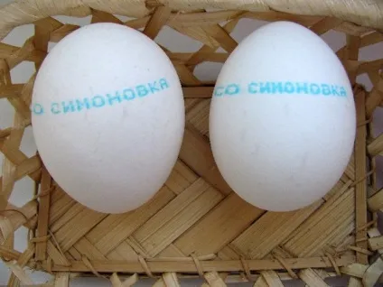 Вишивка по шкаралупі