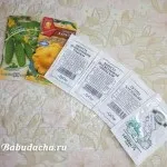 Підготовка часнику до посадки навесні, дача (часнику) Підготовка часнику до посадки навесні, дача