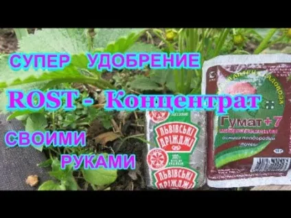 Підживлення огірків добривом гумат каліія на (гумат) Підживлення огірків добривом гумат каліія на