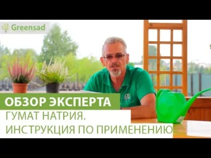 Підживлення огірків добривом гумат каліія на (гумат) Підживлення огірків добривом гумат каліія на