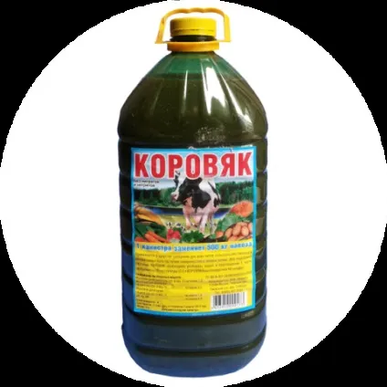 Підживлення огірків коров'яком (коров'яком) Підживлення огірків коров'яком