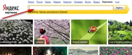 Пошук по картинці (картинці) Пошук по картинці