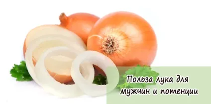 Користь лука для чоловіків і потенції (лука) Користь лука для чоловіків і потенції