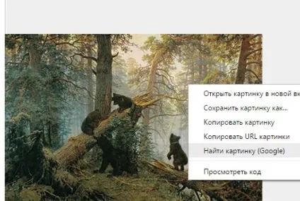 Пошук по картинці в гугл і яндекс завантажити картинку або фото і знайти зображення (зображення) Пошук по картинці в гугл і яндекс завантажити картинку або фото і знайти зображення