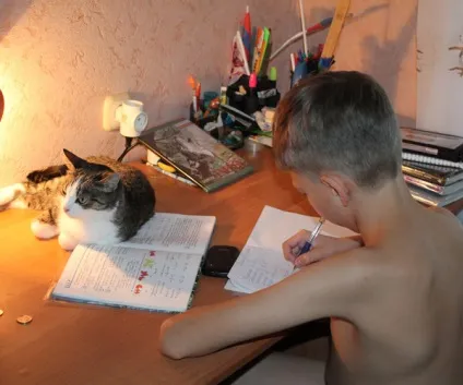 Підлітки і тварини